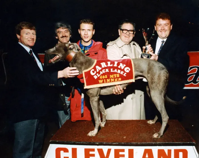 Framed Print : Greyhound Movealong Sam'is on the rostrum after winning Cleveland Park Framed Print : Greyhound Movealong Sam'is on the rostrum after winning Cleveland Park