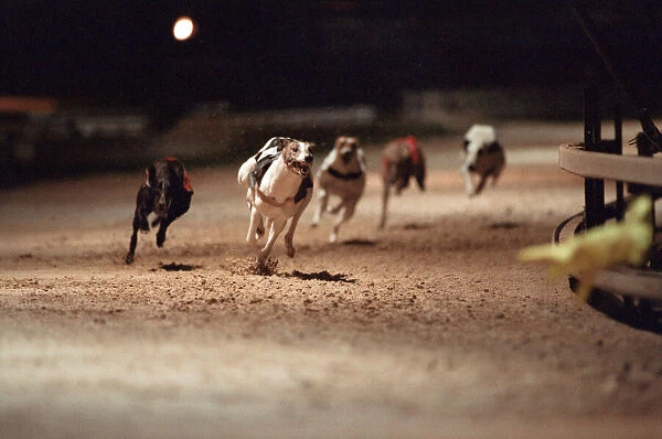 Greyhound Racing at Cleveland Park Stadium in Middlesbrough. 5th April 1994