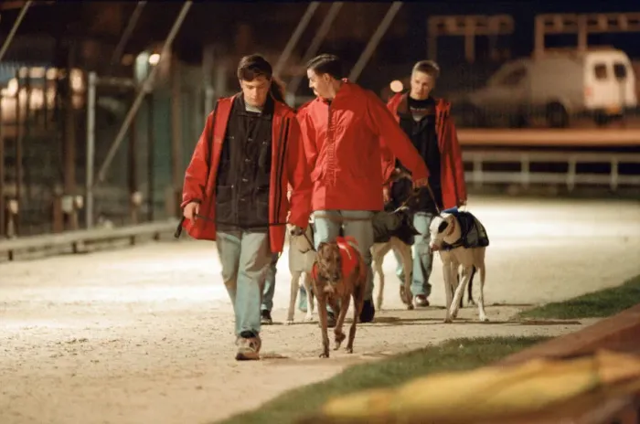 Framed Print : Greyhound Racing at Cleveland Park Stadium in Middlesbrough. 5th April 1994 Framed Print : Greyhound Racing at Cleveland Park Stadium in Middlesbrough. 5th April 1994