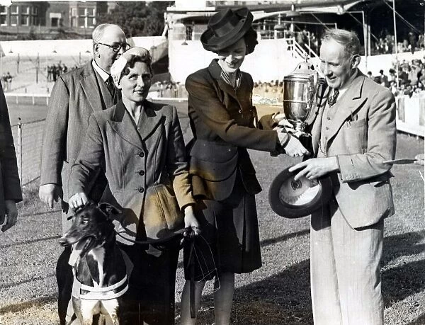 Greyhound racing picture shows: Negros Lad, owned by Mr. W. A