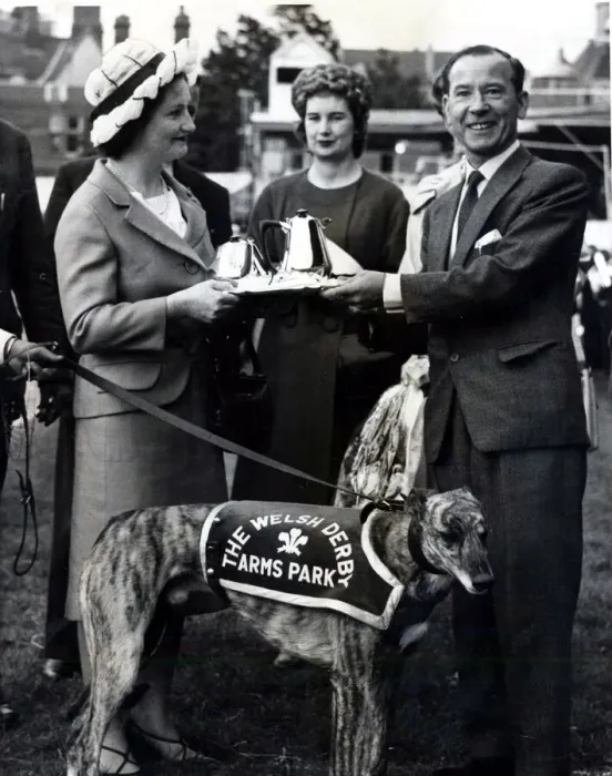 Framed Print : Greyhound racing picture shows: Summerhill Fancy winner of The Welsh Greyhound Derby Framed Print : Greyhound racing picture shows: Summerhill Fancy winner of The Welsh Greyhound Derby