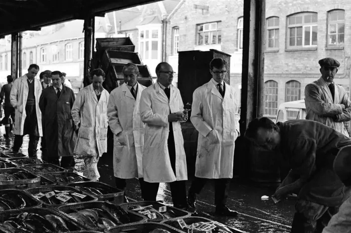 Framed Print : Grimsby fish market, Lincolnshire. 26th September 1963 Framed Print : Grimsby fish market, Lincolnshire. 26th September 1963