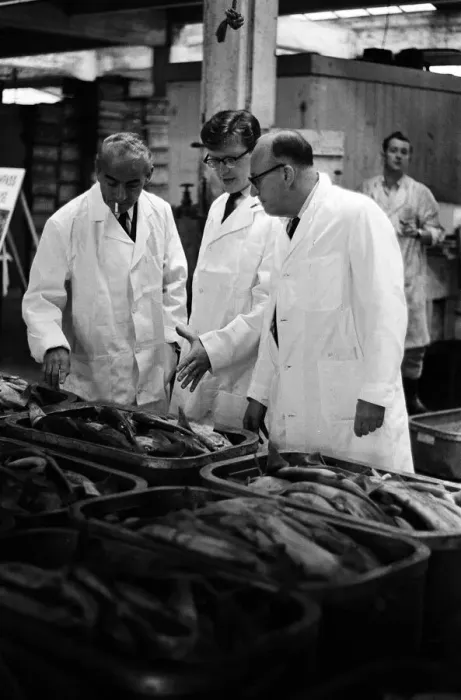 Framed Print : Grimsby fish market, Lincolnshire. 26th September 1963 Framed Print : Grimsby fish market, Lincolnshire. 26th September 1963