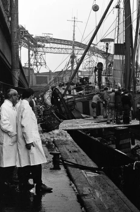Framed Print : Grimsby fish market, Lincolnshire. 26th September 1963 Framed Print : Grimsby fish market, Lincolnshire. 26th September 1963