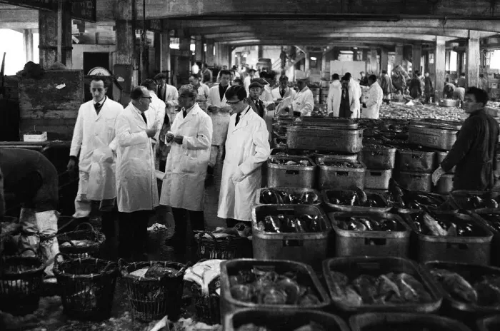 Framed Print : Grimsby fish market, Lincolnshire. 26th September 1963 Framed Print : Grimsby fish market, Lincolnshire. 26th September 1963