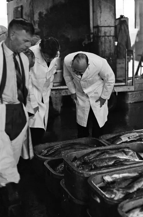 Framed Print : Grimsby fish market, Lincolnshire. 26th September 1963 Framed Print : Grimsby fish market, Lincolnshire. 26th September 1963