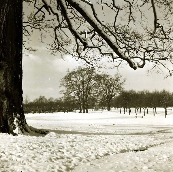 Grovelands Park Southgate - Weather Winter Scenes Snow Trees ducks