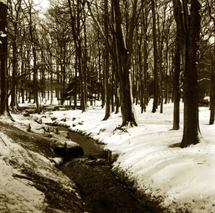 Framed Print : Grovelands Park Southgate - Weather Winter Scenes Snow Trees