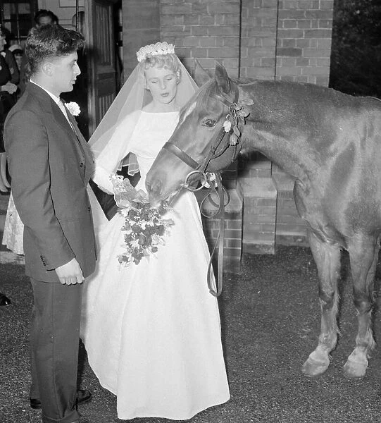 The guest of honour at a wedding in Pinner was a horse. He is the pet of the bride Sallie