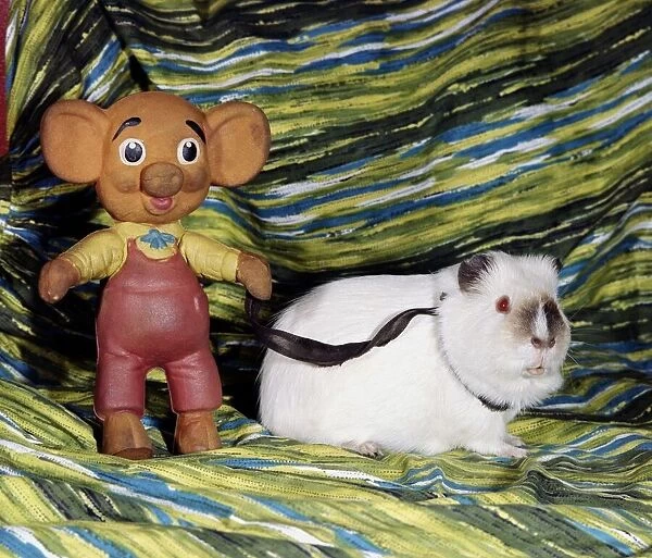 A guinea pig with a rubber doll against a colourful background july 1967