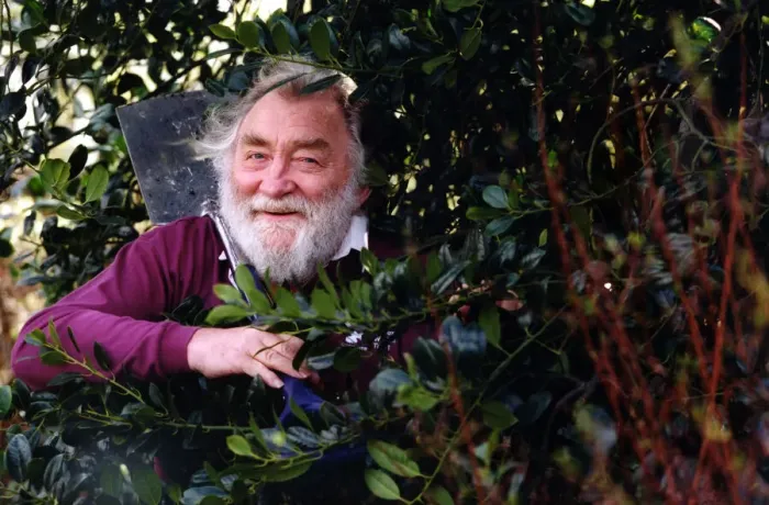 Framed Print : Gwappeling in the undergwof... botanist and parliamentary candidate David Bellamy