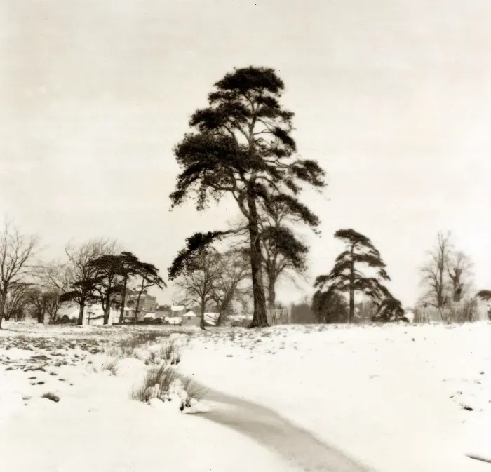 Framed Print : Hadley Common Hertfordshire - Weather Winter Scenes Snow Trees Framed Print : Hadley Common Hertfordshire - Weather Winter Scenes Snow Trees