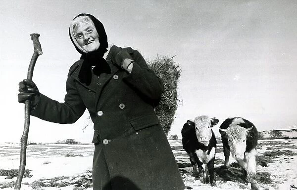 Hannah Hauxwell pictured on her farmland in Baldersdale County Durham with her cattle