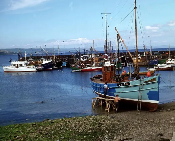 Framed Print : Harbour at Carradale Argyll Scotland Two fishermen are painting their boat blue