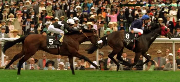 Framed Print : Harbour Master and C Roche Jockey wins the Coventry Stakes at Royal Ascot with Olivier Framed Print : Harbour Master and C Roche Jockey wins the Coventry Stakes at Royal Ascot with Olivier