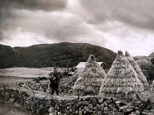 A hardy crofter at work near Stornaway on the island of Lewis in the Outer Hebrides