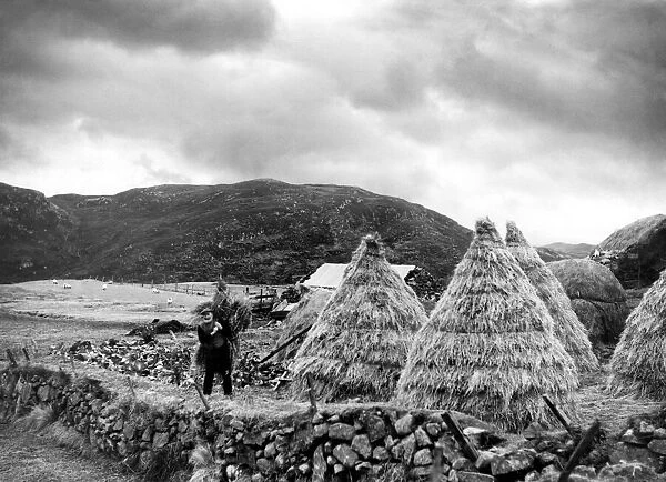 A hardy crofter at work near Stornaway on the island of Lewis in the Outer Hebrides