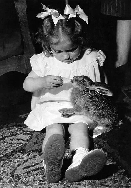 Hare Raising: Heres a hare-raising story thats true