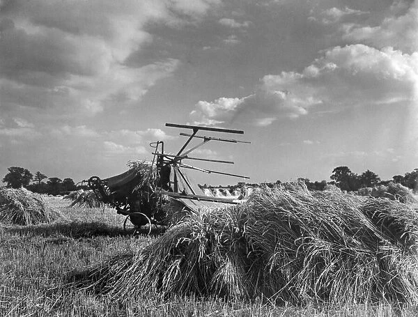 Harvest scene near Thaxted, Essex. P04523