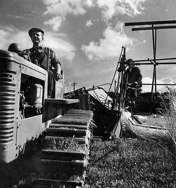 Harvest Scenes. Harvesting near London overlooking Caterham. April 1948 P004529