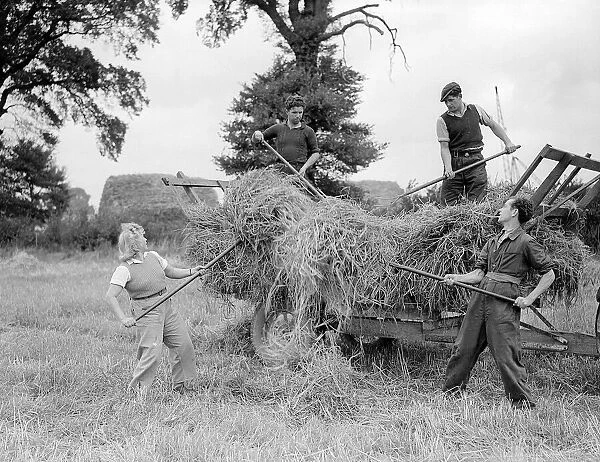Harvesting at Egham - 1946 Charlotte Dunklage - 11 stone