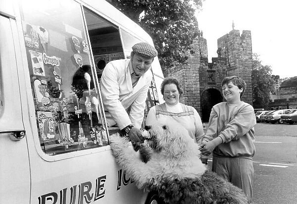 Harvey the Old English Sheepdog enjoys his ice cream from Ray Wilsons van outside Alnwick