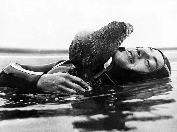 Having tired of his swimming lesson, George the otter has a rest on Keith Reaney