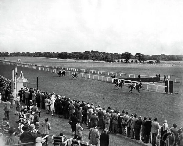 Haydock Park Races. A general view to the finish of the Tyldesley Plate showing odds-on