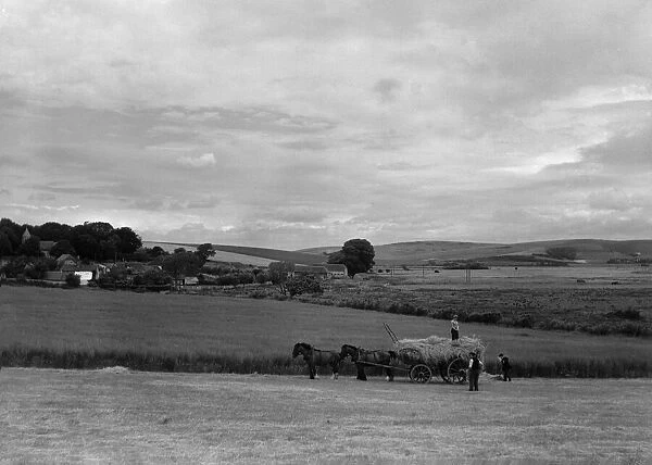 Haymaking near Southease 28th June 1939