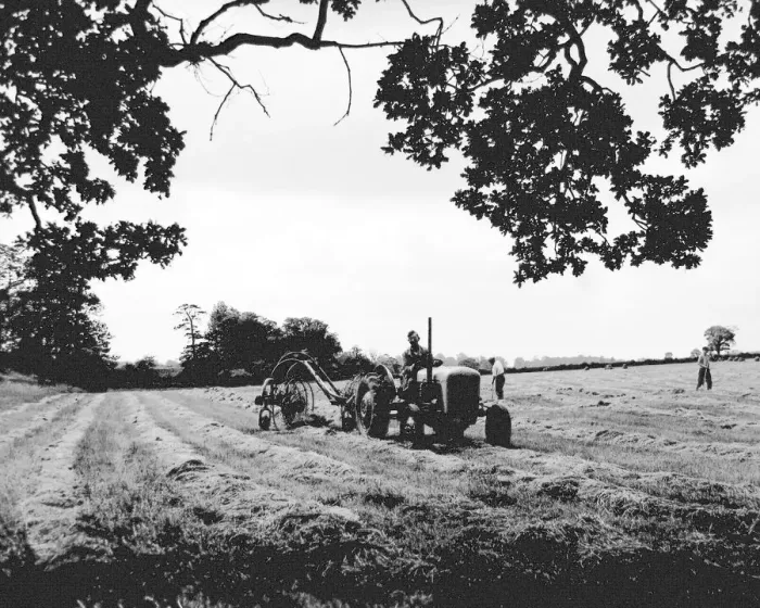 Framed Print : Haymaking in full swing on a farm at Finham, adjoining the Leamington Road