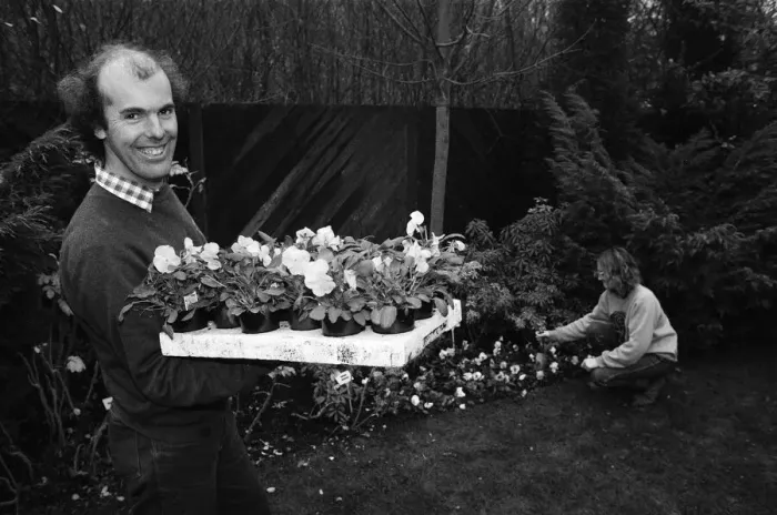 Framed Print : Head gardener Mr Brian Gilbride celebrates the success of Telford in the 1989 Britain in Framed Print : Head gardener Mr Brian Gilbride celebrates the success of Telford in the 1989 Britain in