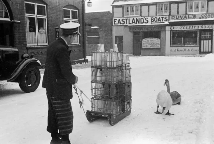 Framed Print : The heavy fall of snow overnight sees the milkman delivering his milk by sledge Framed Print : The heavy fall of snow overnight sees the milkman delivering his milk by sledge