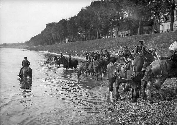 Heavy horses of the Royal Horse Artilley are seen here being watered in Northern France