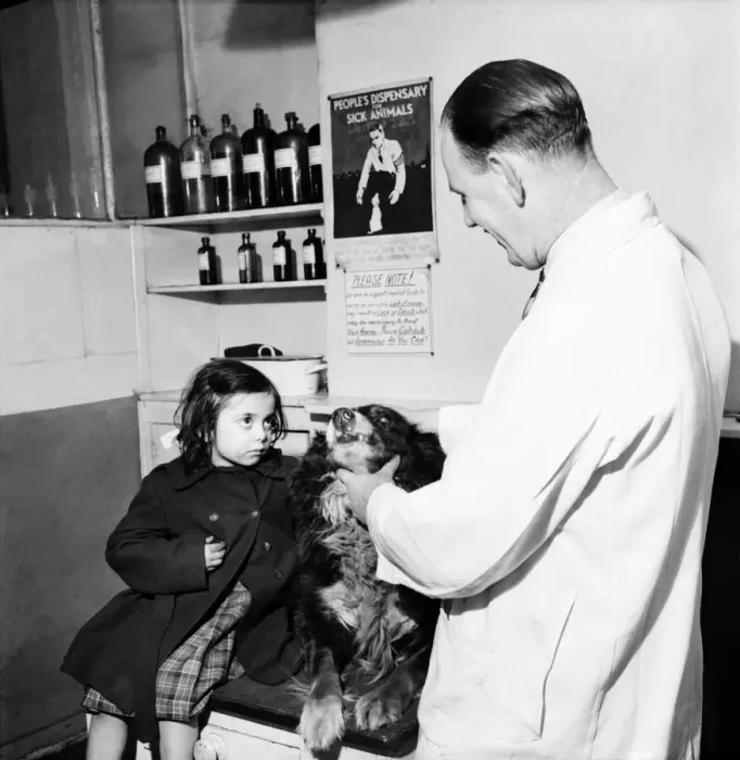 Framed Print : Helen with her pal Laddie'at the vets today. January 1953 D441 Framed Print : Helen with her pal Laddie'at the vets today. January 1953 D441
