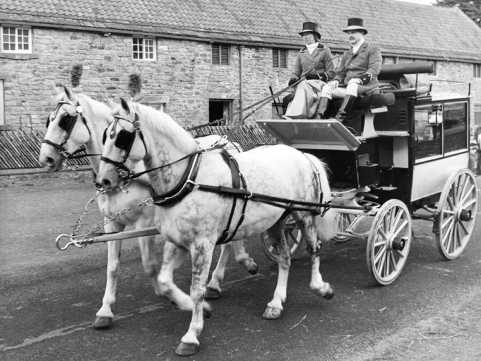 Framed Print : Helen Wrightham and Gavin Allan with a carriage and pair (Orbit and Starsky