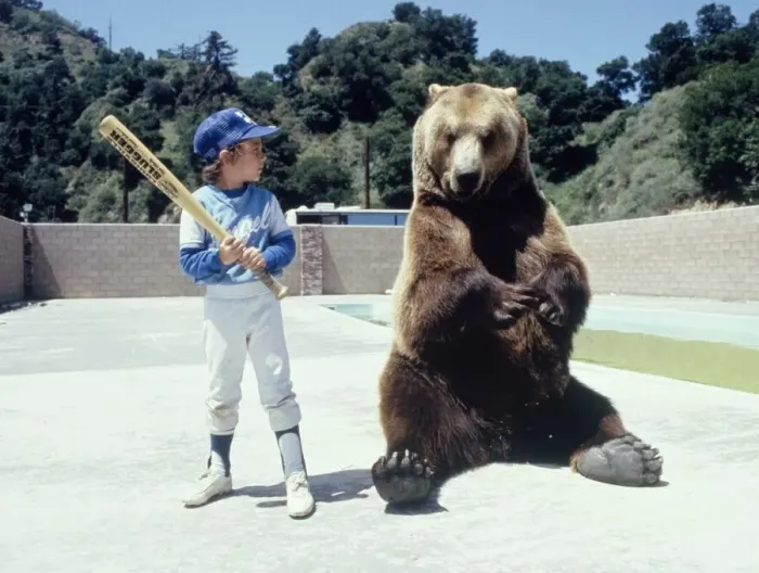 Framed Print : Hercules the bear is learning about baseball from a young boy in Hollywood May 1983
