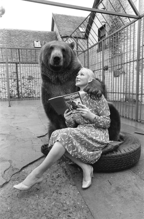 Framed Print : Hercules The Grizzly Bear, with owner Maggie Robin, who has recently written a book about Framed Print : Hercules The Grizzly Bear, with owner Maggie Robin, who has recently written a book about