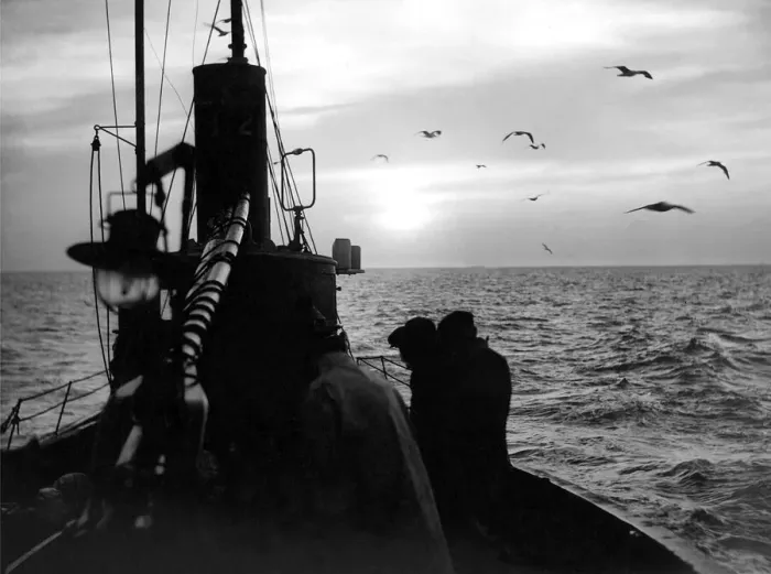 Framed Print : A herring drifter heading for home as the sun comes up and gulls wheel overhead in 1949 Framed Print : A herring drifter heading for home as the sun comes up and gulls wheel overhead in 1949