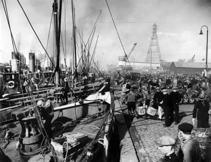 Framed Print : The herring fleet lands its catch at Yarmouth. October 1936 P004154