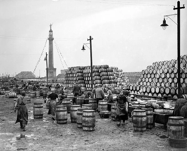 Herring girls unloading barrels of herring at the docks in Great Yarmouth Circa