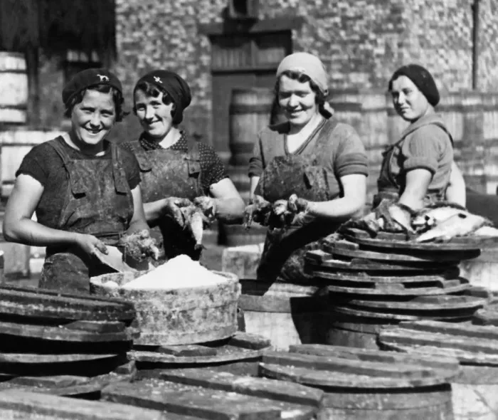Framed Print : Herring Harvest Continues - Scottish Fishergirls packing herrings for export