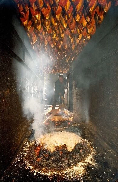 Herrings in a Craster smoke house being made into the famous Craster kippers in 1991