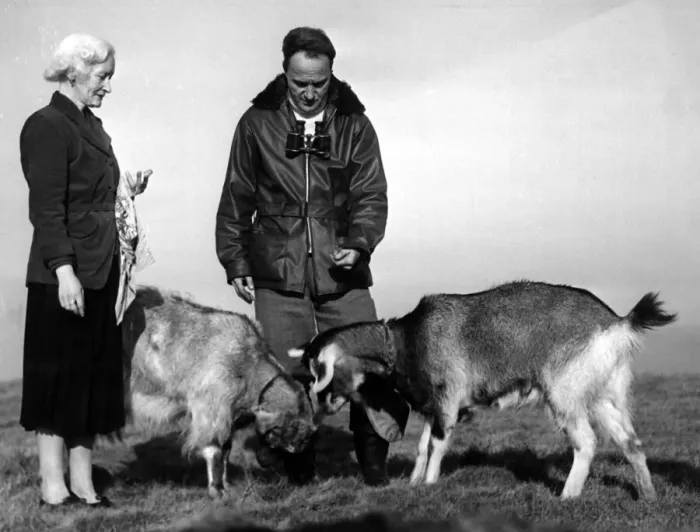Framed Print : Hilbre Island custodian Charles Clifton and his wife Jean feeding their two goats
