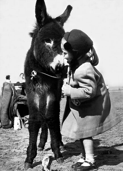 Holidays - Children with Animals Donkey Dorothy 4 Years old with a young Donkey