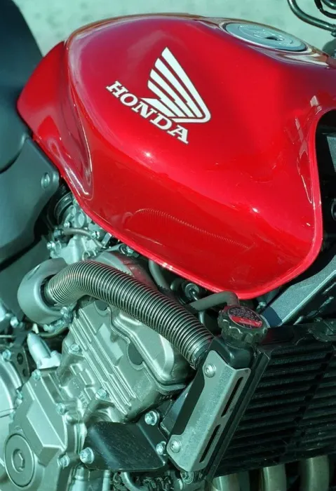 Framed Print : The Honda Hornet 600CC Motorbike April 1998 Fuel Tank badge and engine