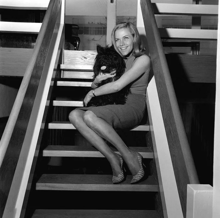 Framed Print : Honor Blackman actress May 1965 with her dog Wotan a Scottish terrier Framed Print : Honor Blackman actress May 1965 with her dog Wotan a Scottish terrier
