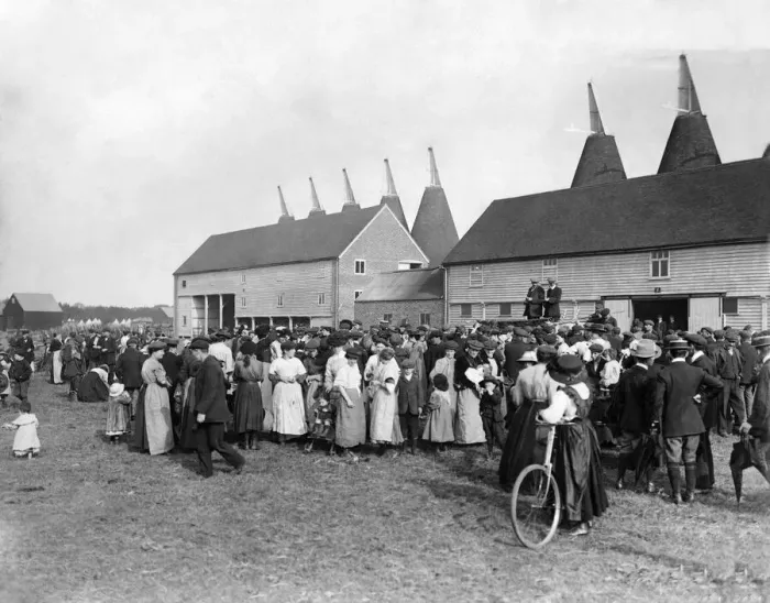 Framed Print : Hop-pickers at Paddock Wood Kent. August 1908