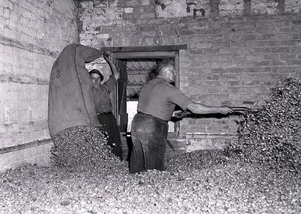 Hop picking in progress in Worcestershire. Men hard at work. October 1959