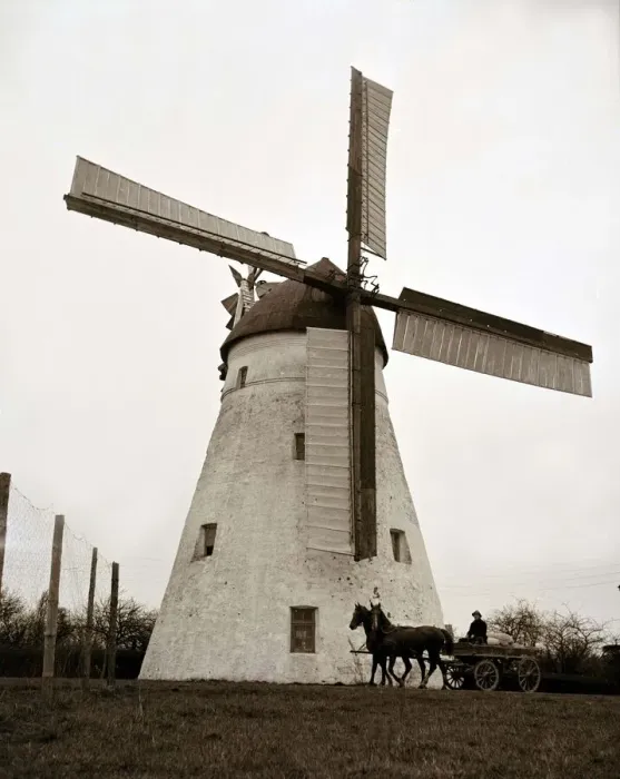 Framed Print : Horse and cart passing by a windmill in the English countryside circa 1950s