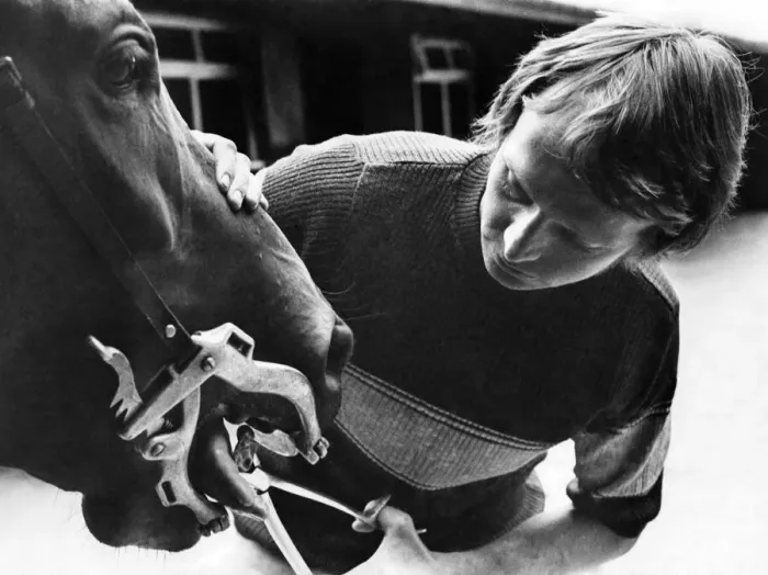 Framed Print : Horse dentist Gordon Holmes treating a patient at The Stables, Greystoke, near. Penrith Framed Print : Horse dentist Gordon Holmes treating a patient at The Stables, Greystoke, near. Penrith